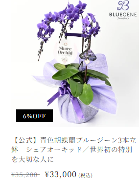 商品-–-【公式】Blue-Gene-Store-ブルージーンストア--07-28-2026_08_47_PM