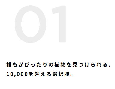 はじめての方へ-通販サイト-HitoHana（ひとはな）-08-13-2026_02_12_PM (1)