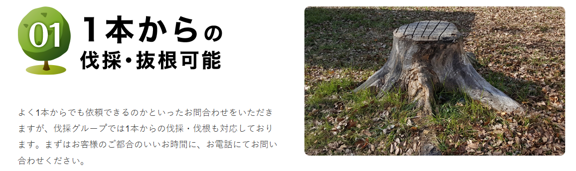 全国の造園、植木のことなら【伐採グループ】-08-19-2026_09_01_PM
