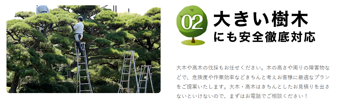 全国の造園、植木のことなら【伐採グループ】-08-19-2026_09_02_PM